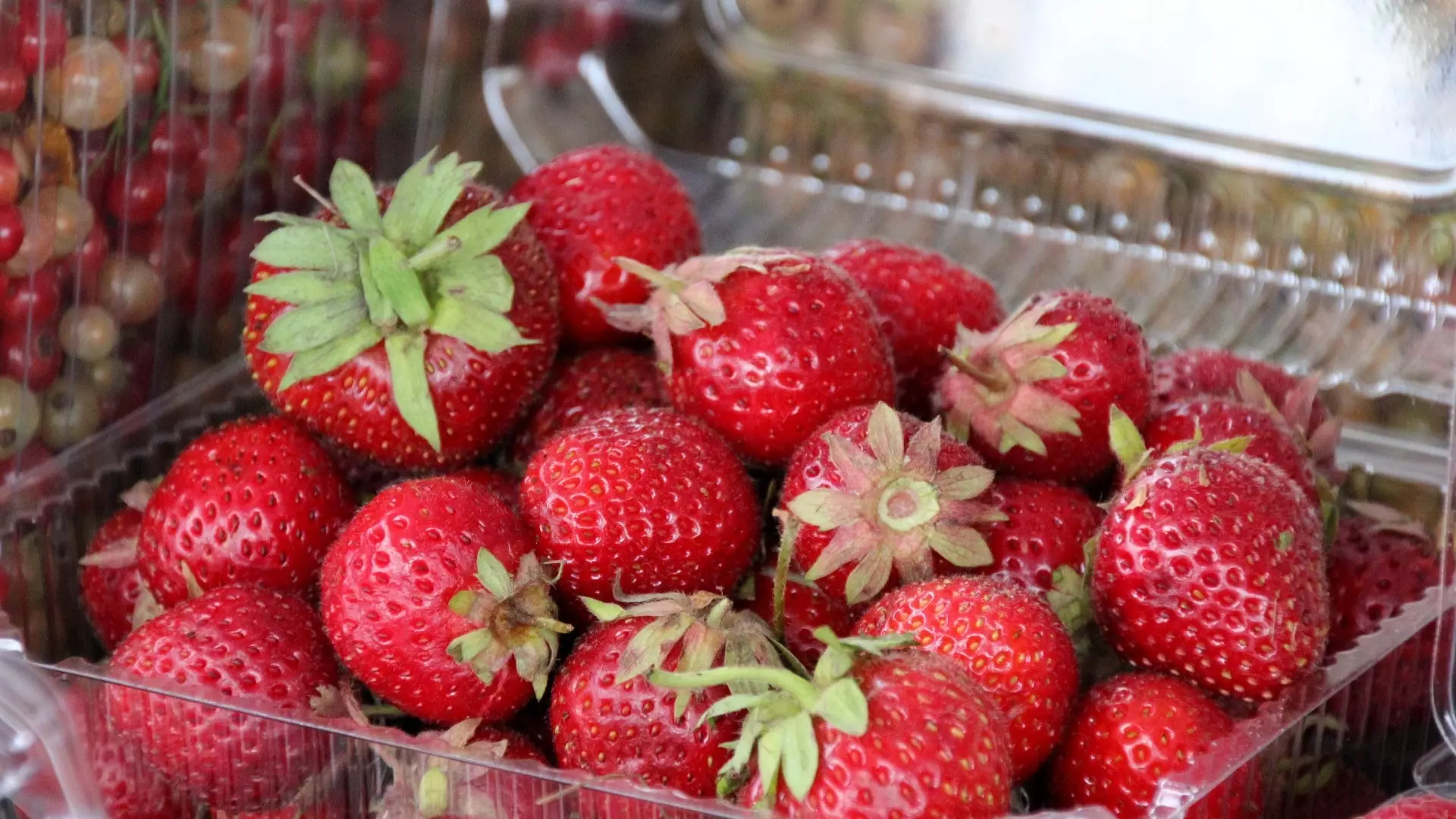 Более 60% россиян предпочитают клубнику среди всех ягод, согласно опросу РИАМО