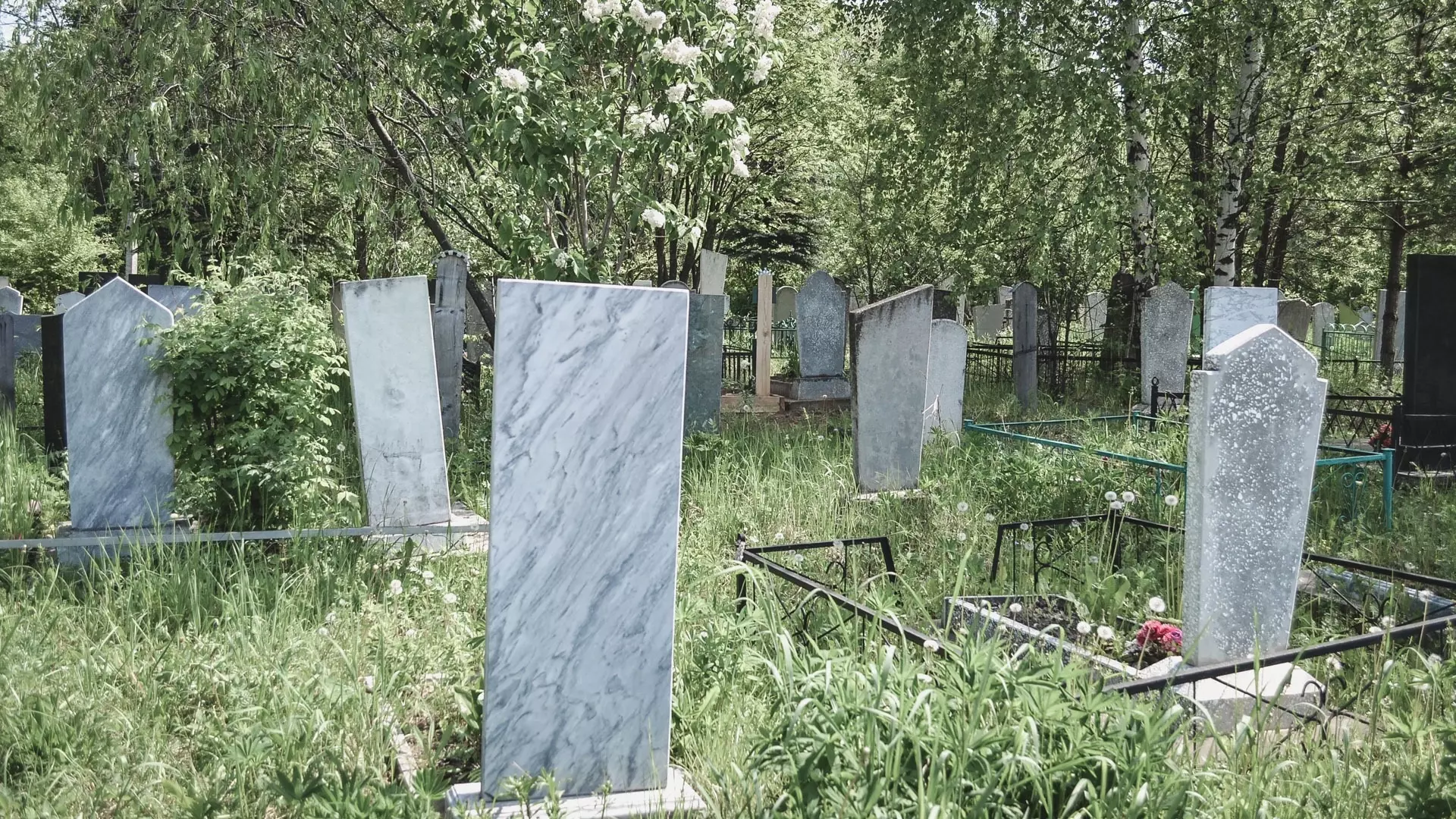 В Ставрополе провалилась попытка купить землю под кладбище