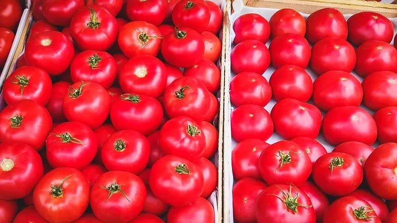 В Северной Осетии обнаружили зараженные опасными вирусами помидоры