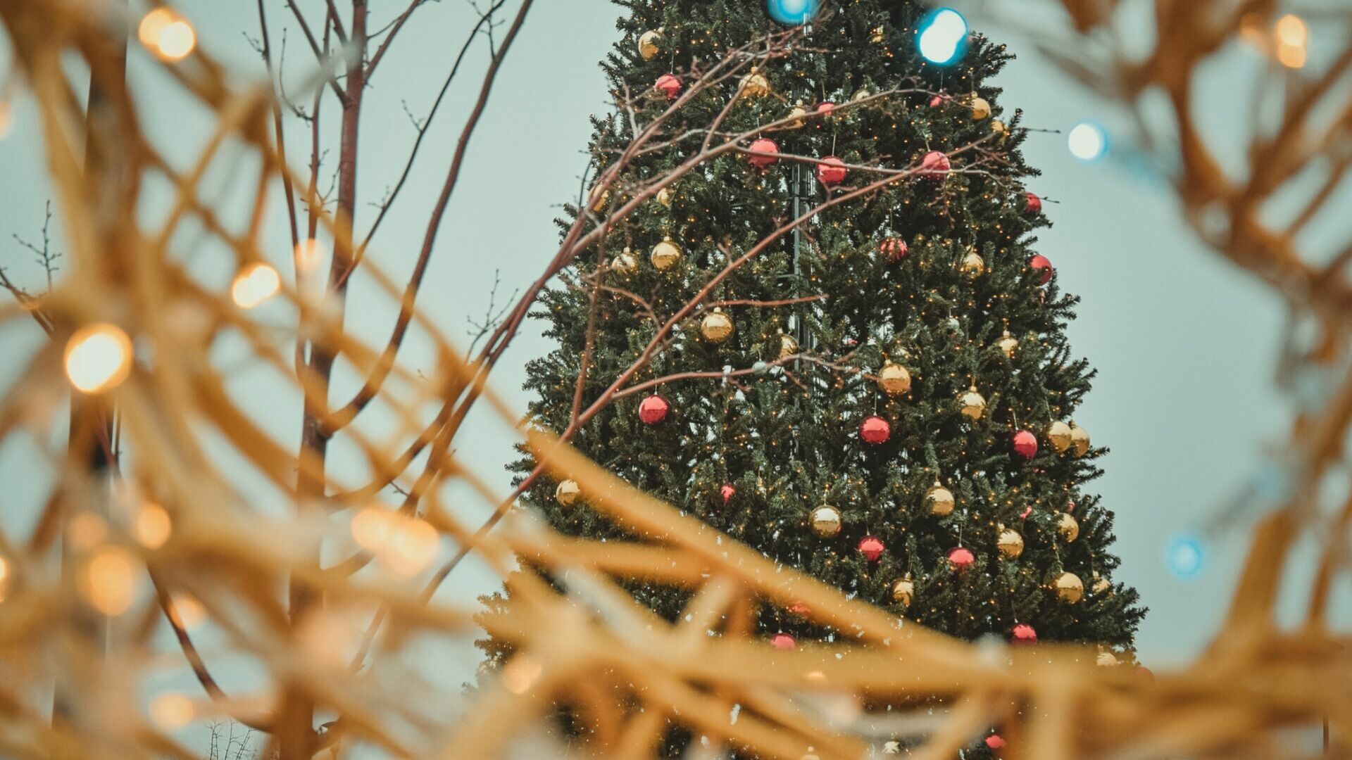 Ставропольский округ отменил новогодние мероприятия и закупку украшений