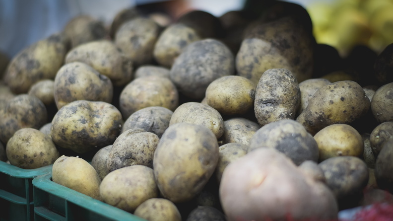 Сбор картофеля снизился в Кабардино-Балкарии почти на 8% в 2020 году
