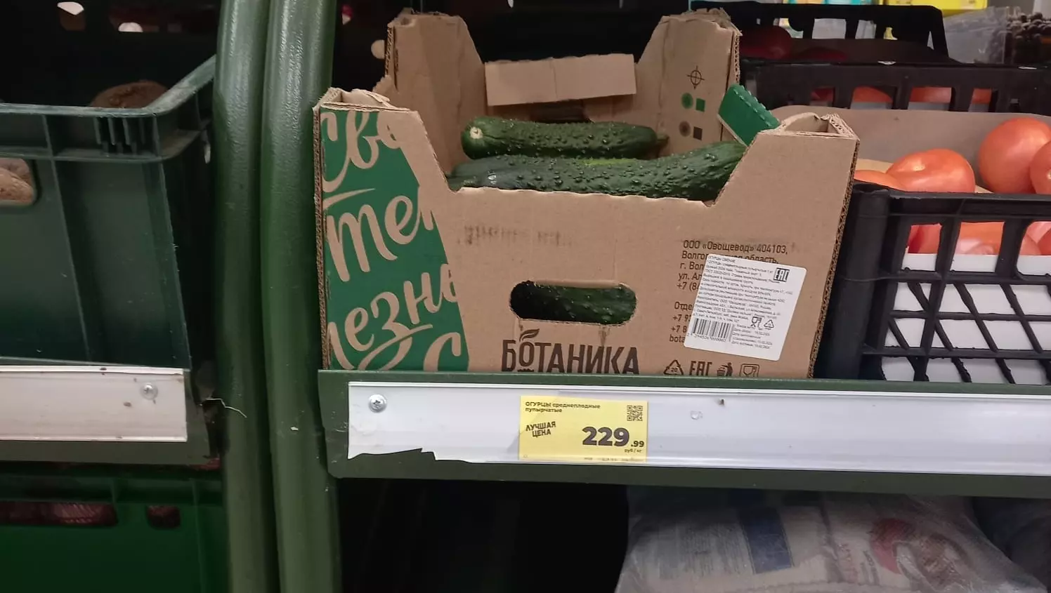 Наших не больше 15%: производитель объяснил заоблачные цены на ставропольские огурцы