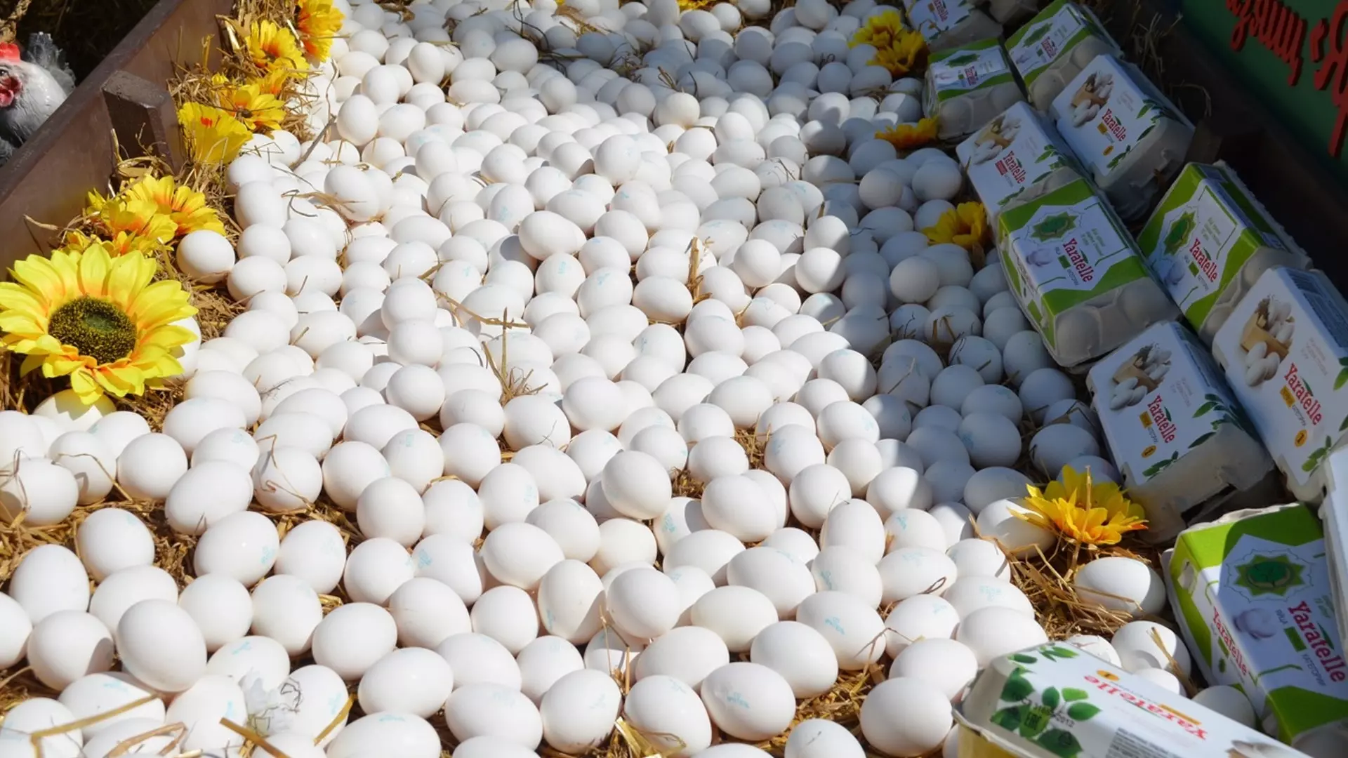 На ярмарках в Ставрополе продают яйца от 90 рублей