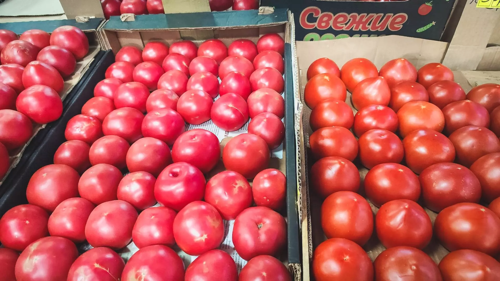 Жители Ставрополья заявили об огромных ценах на помидоры