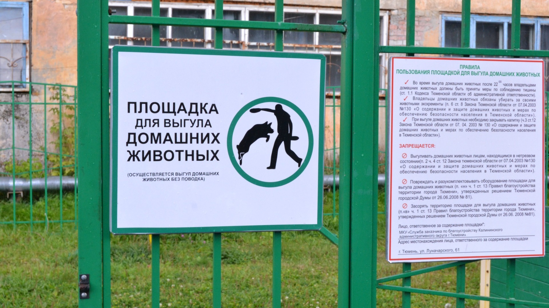 Где в Ставрополе можно выгуливать собак