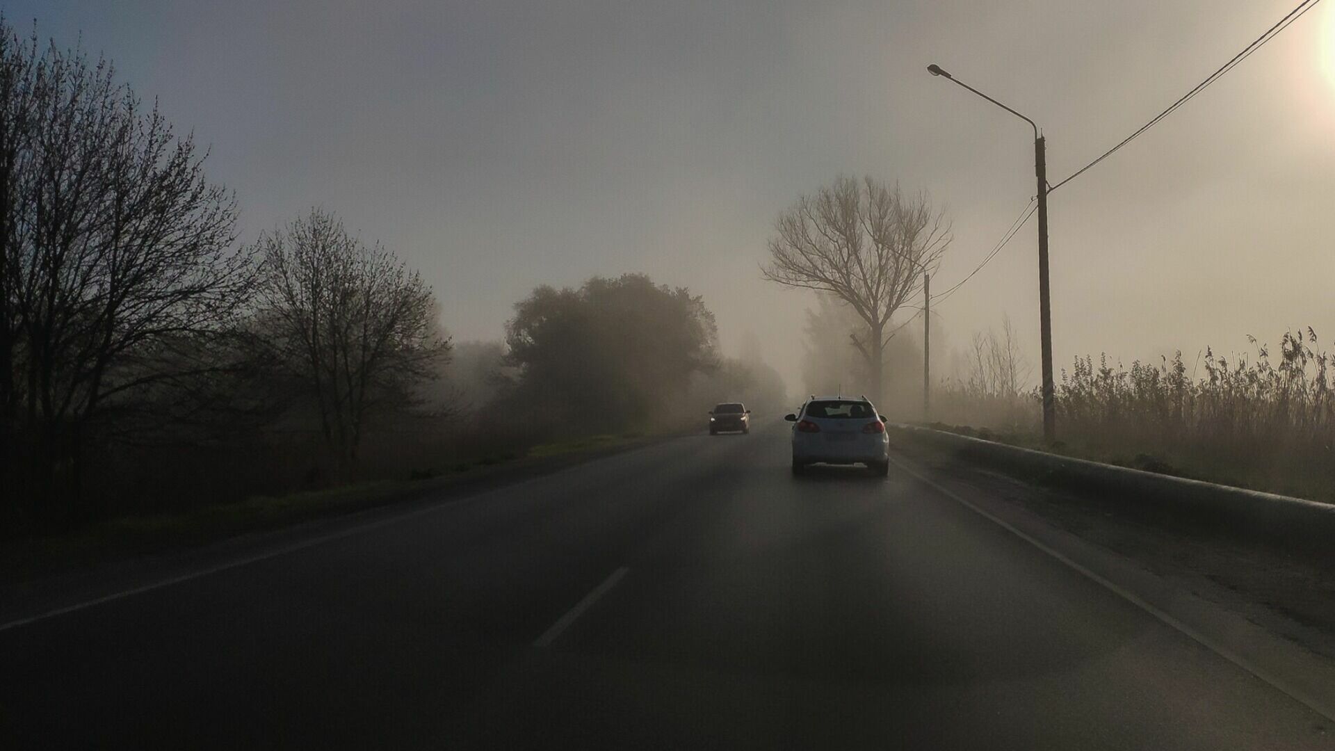 Сильный туман ограничил видимость на дорогах Ставрополья