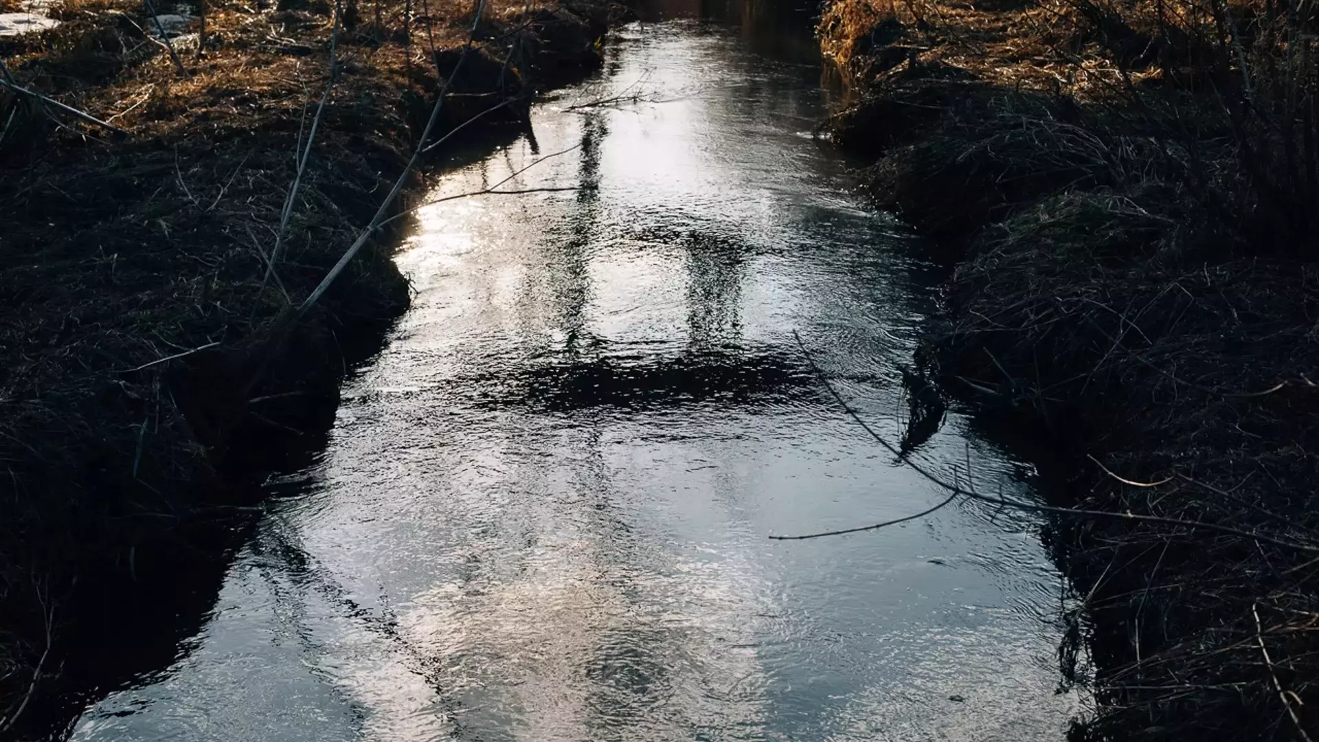 Жители Ставрополя рассказали о сливе канализации в реку Ташла