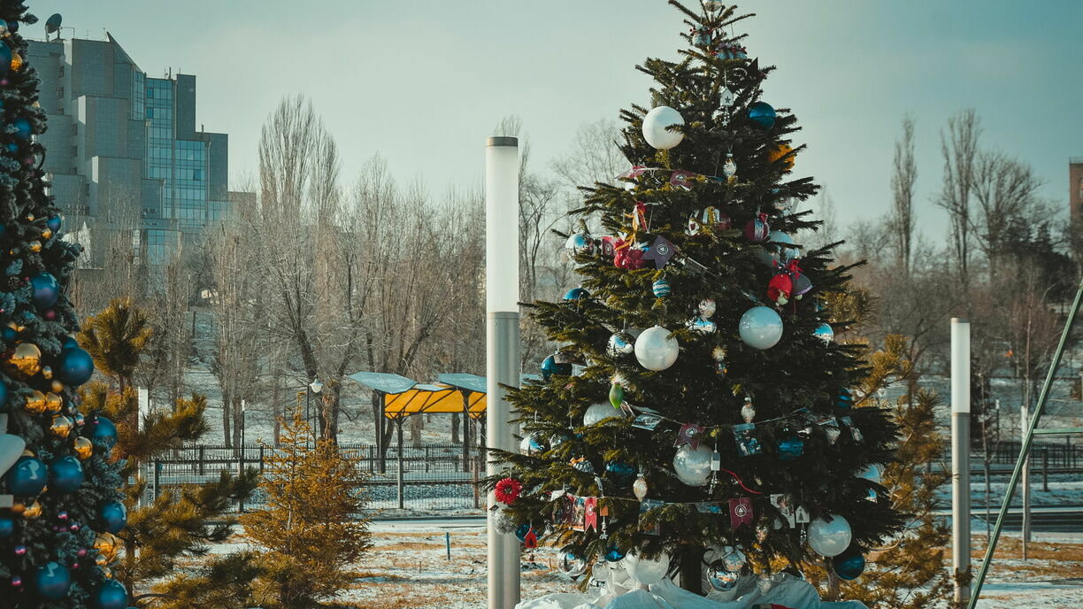 На Ставрополье опровергли отмены новогодних елок в школах
