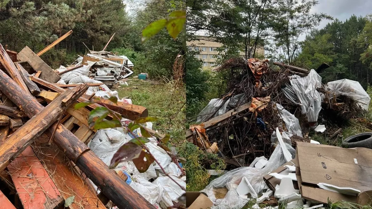 Подобие мусорного полигона сделали в сосновом лесу в Кисловодске
