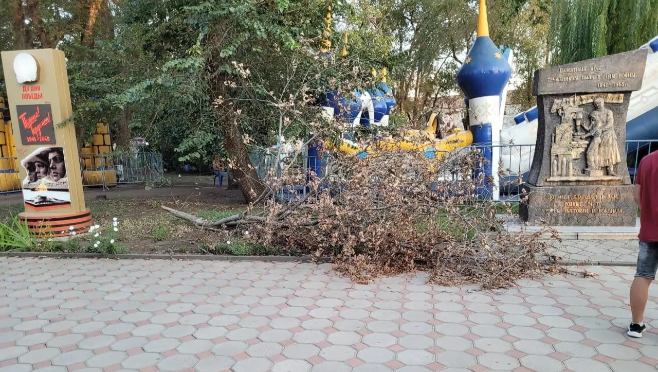 Жители Светлограда пожаловались на опасный парк и разбитые дороги