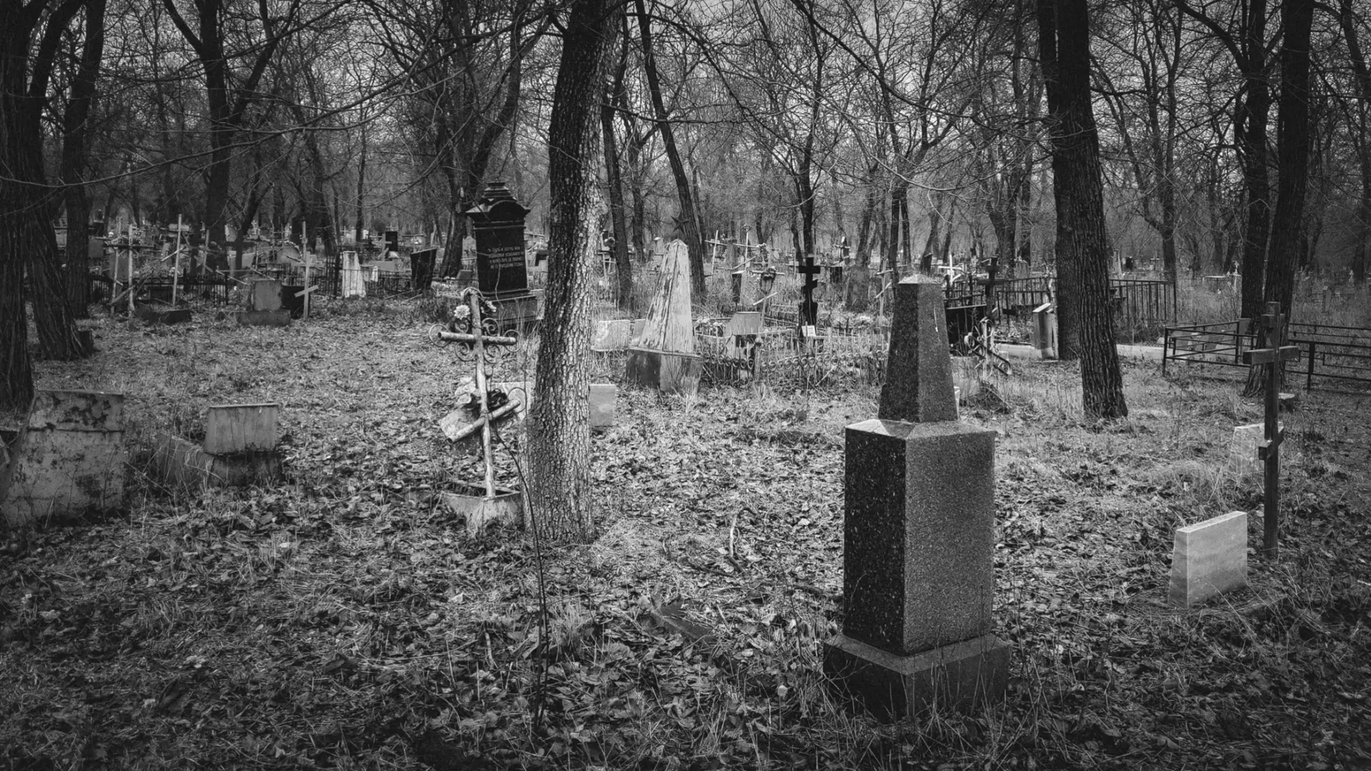 Пытали, убивали и везли на свое кладбище — как орудовала банда Попова на Ставрополье