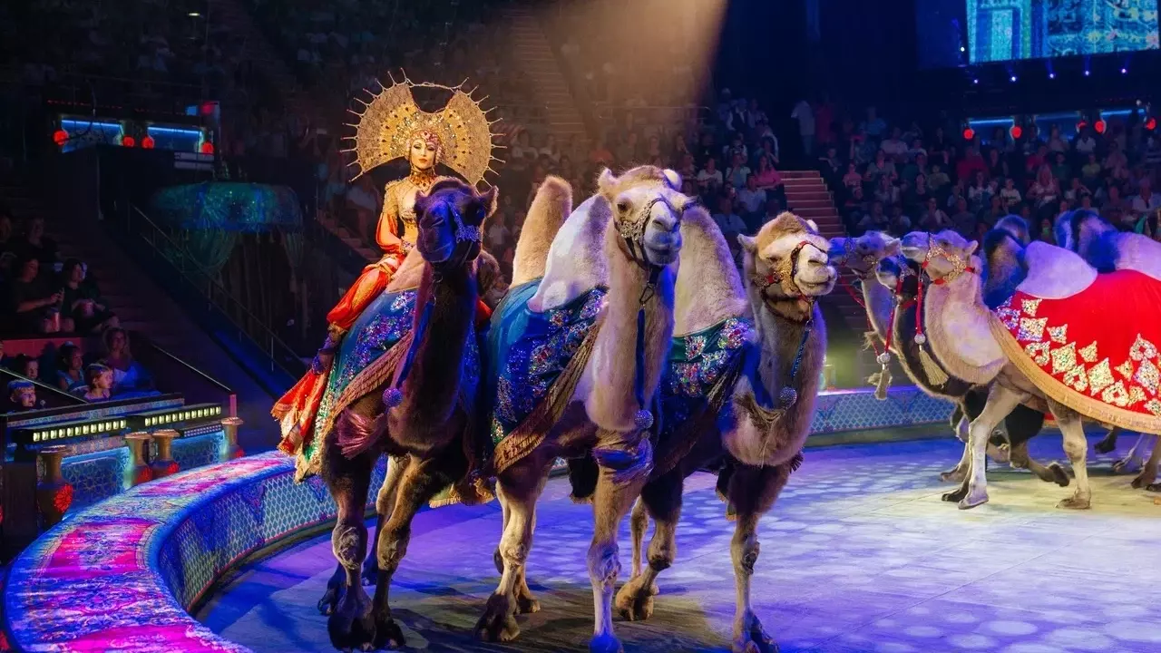 Цирковое шоу «Песчаная сказка» впервые покажут в Ставрополе