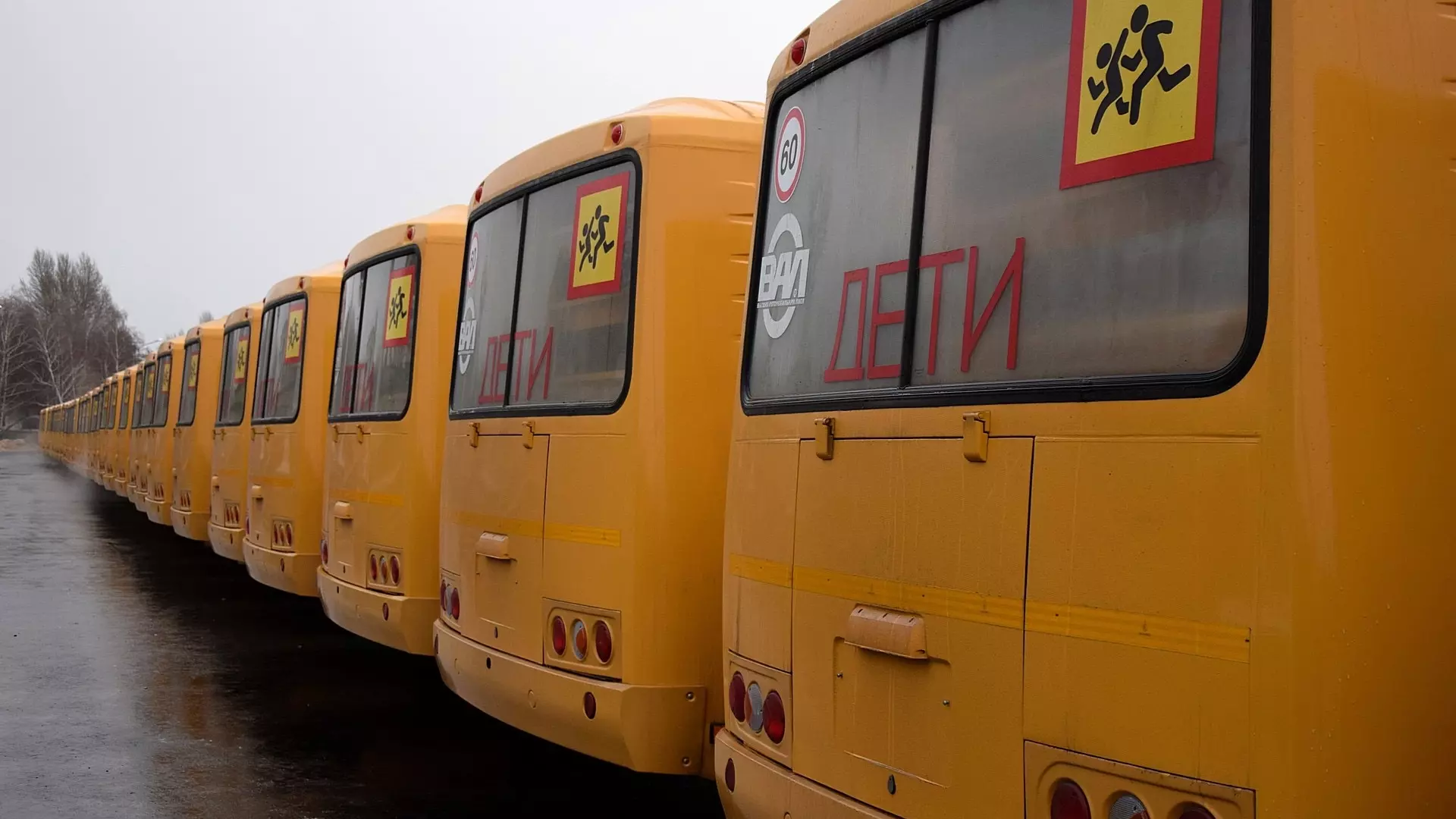 Как школьнику получить место в школьном автобусе рассказали власти Ставрополя
