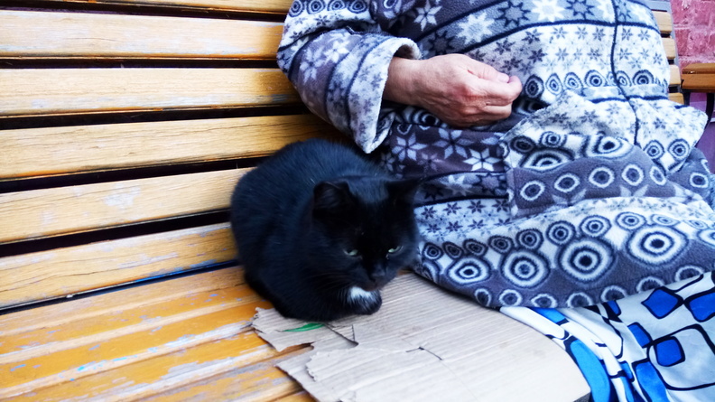 На Ставрополье ищут пропавшую из санатория пенсионерку