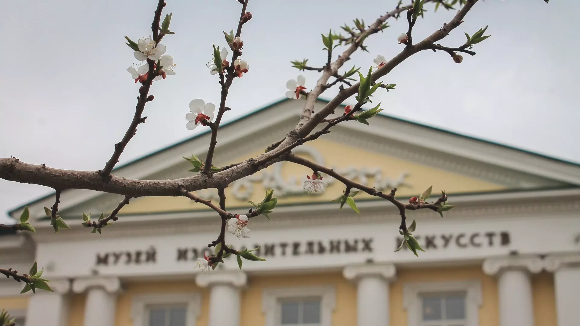 До +12 градусов и ветер прогнозируют на Ставрополье в ближайшие дни
