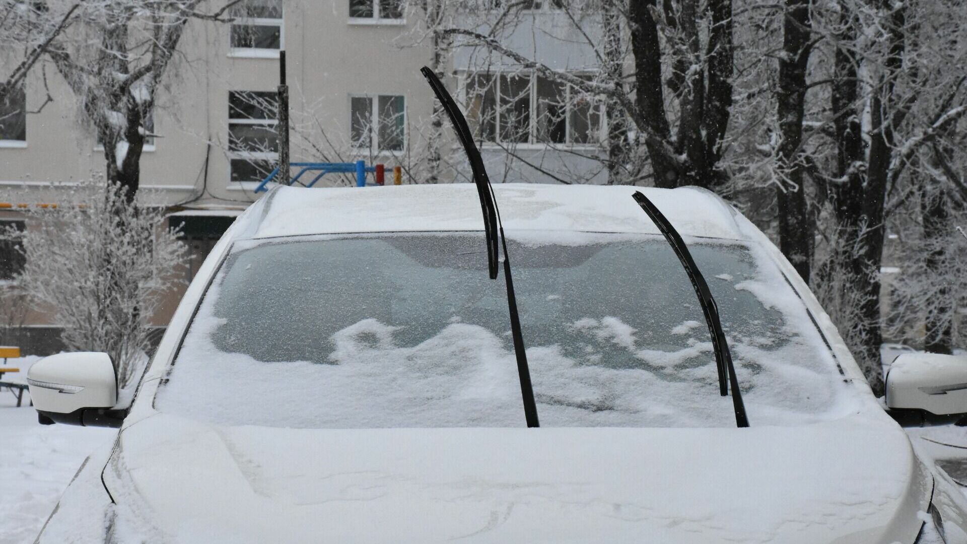 Сильный снегопад и вырубка леса в Невинномысске — новости среды на Ставрополье