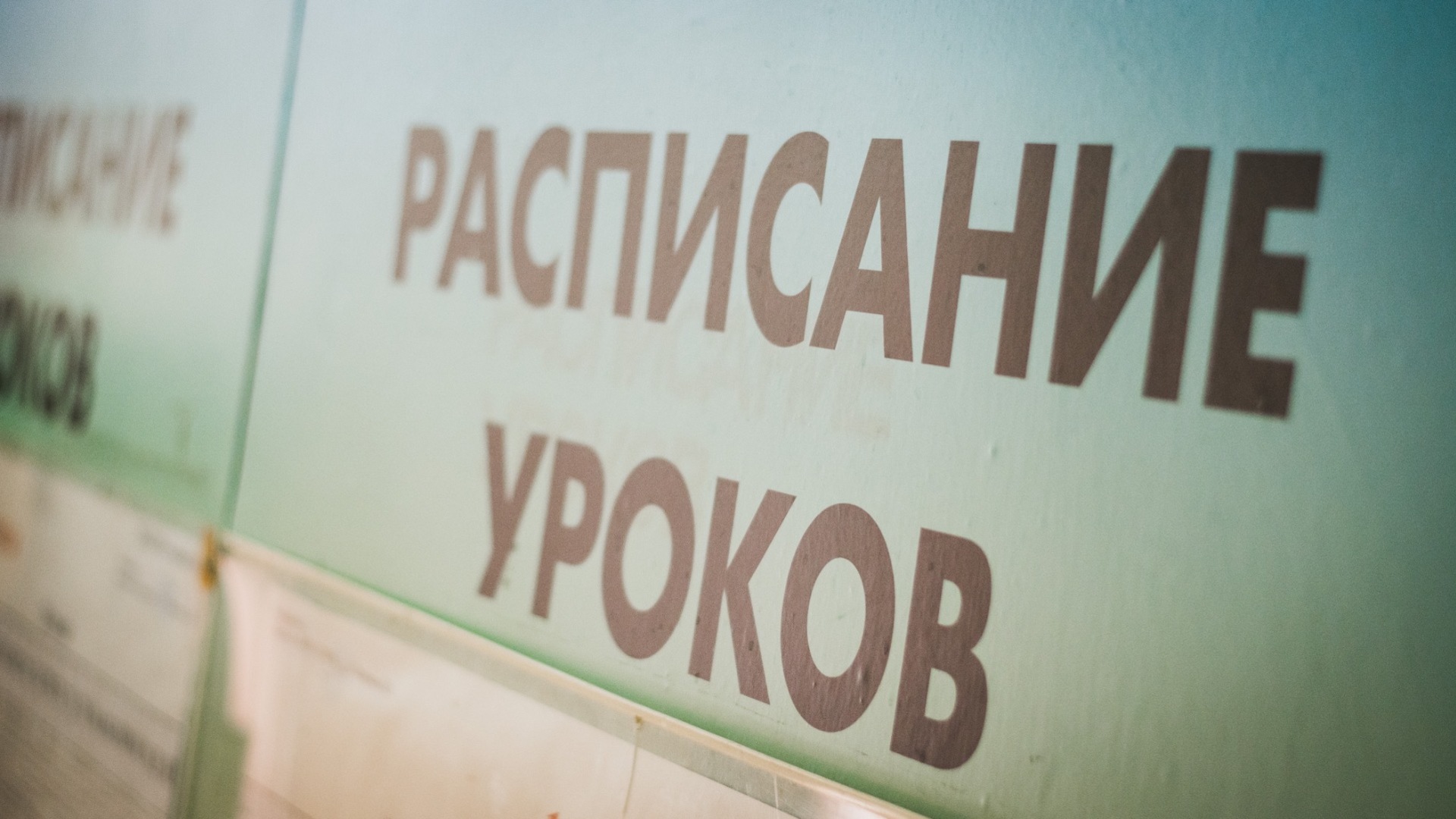 Предпринимательские классы появились в школе на Ставрополье