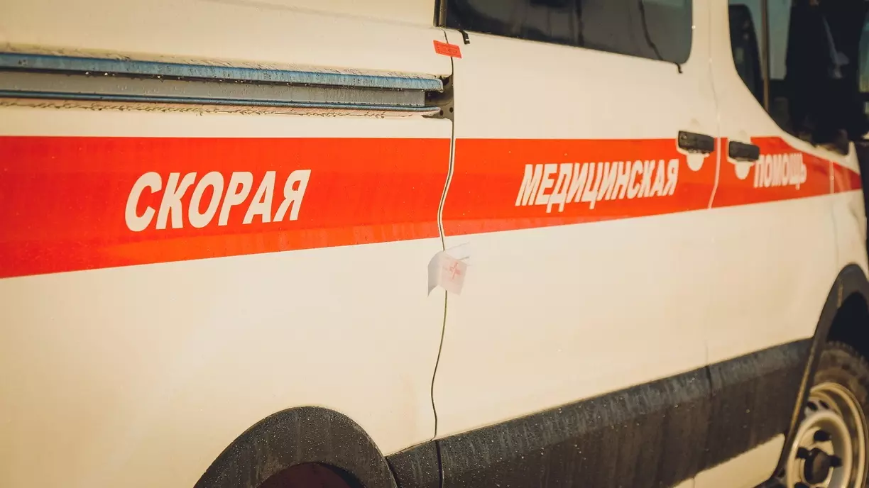 В апреле около школы №11 Ставрополя две собаки напали на ребенка и одна из них укусила его за ногу.