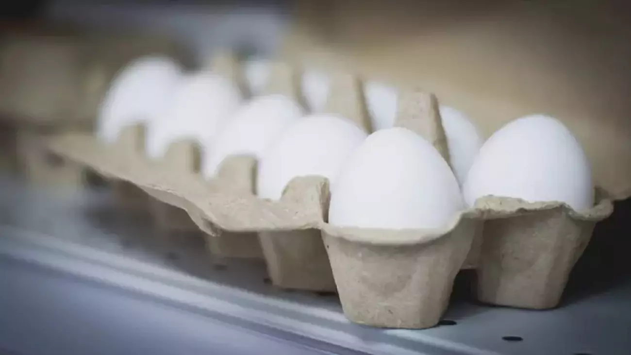 Производство яиц на Ставрополье выросло на 26,6%