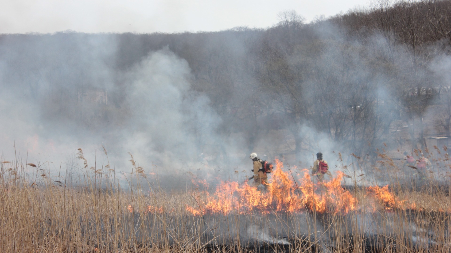 Более 20 ландшафтных пожаров потушили на Ставрополье за сутки