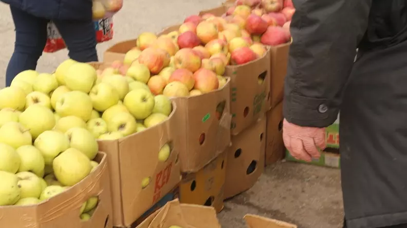 Яблоки стали дорожать еще сильнее на Ставрополье из-за непогоды