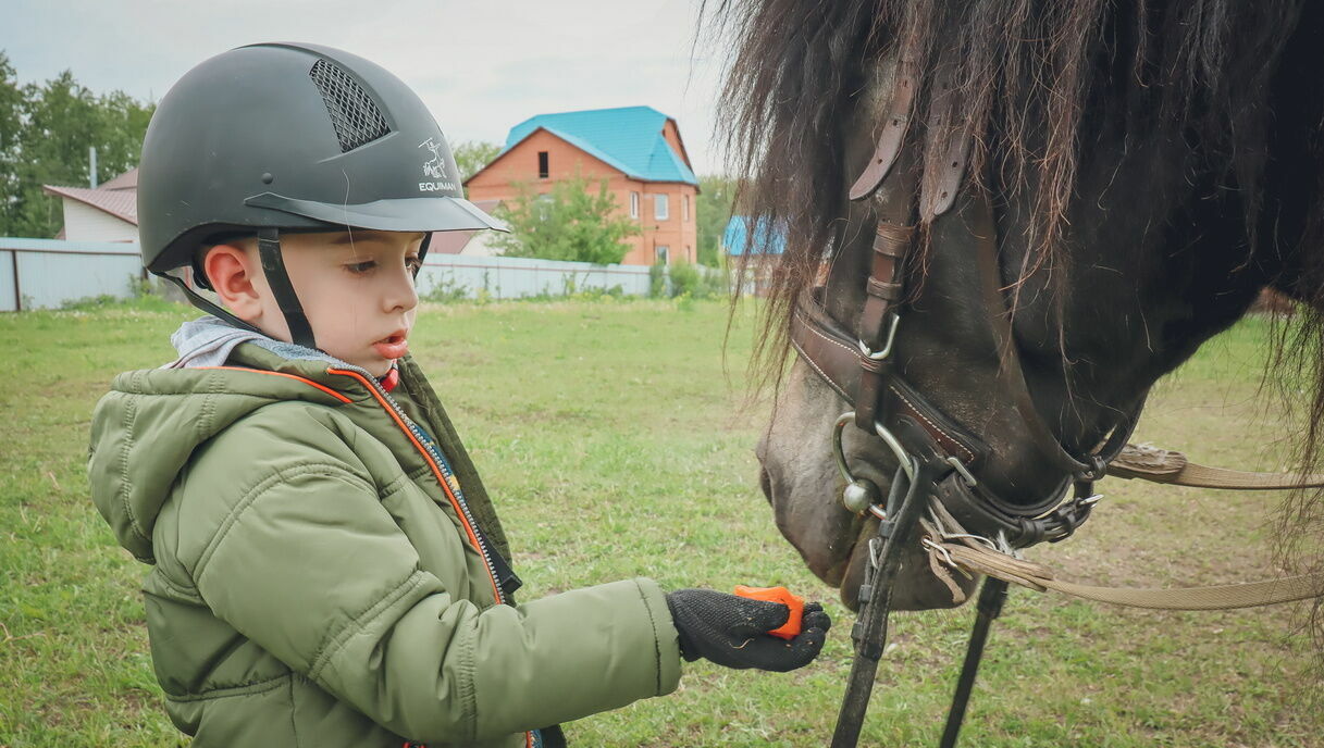Дело завели на владелицу конного клуба на Ставрополье за травмирование ребенка