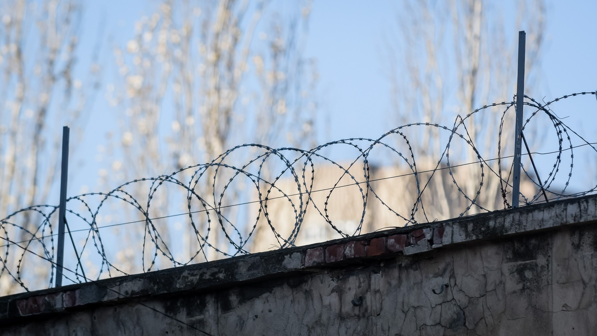 Правозащитники требуют перевести Никиту Журавеля из СИЗО Грозного в другой регион
