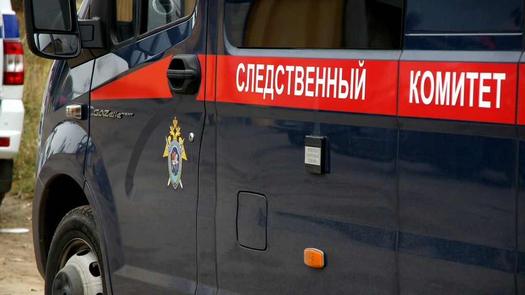 СК Ставрополья проверит действия полиции при задержании пьяного дебошира