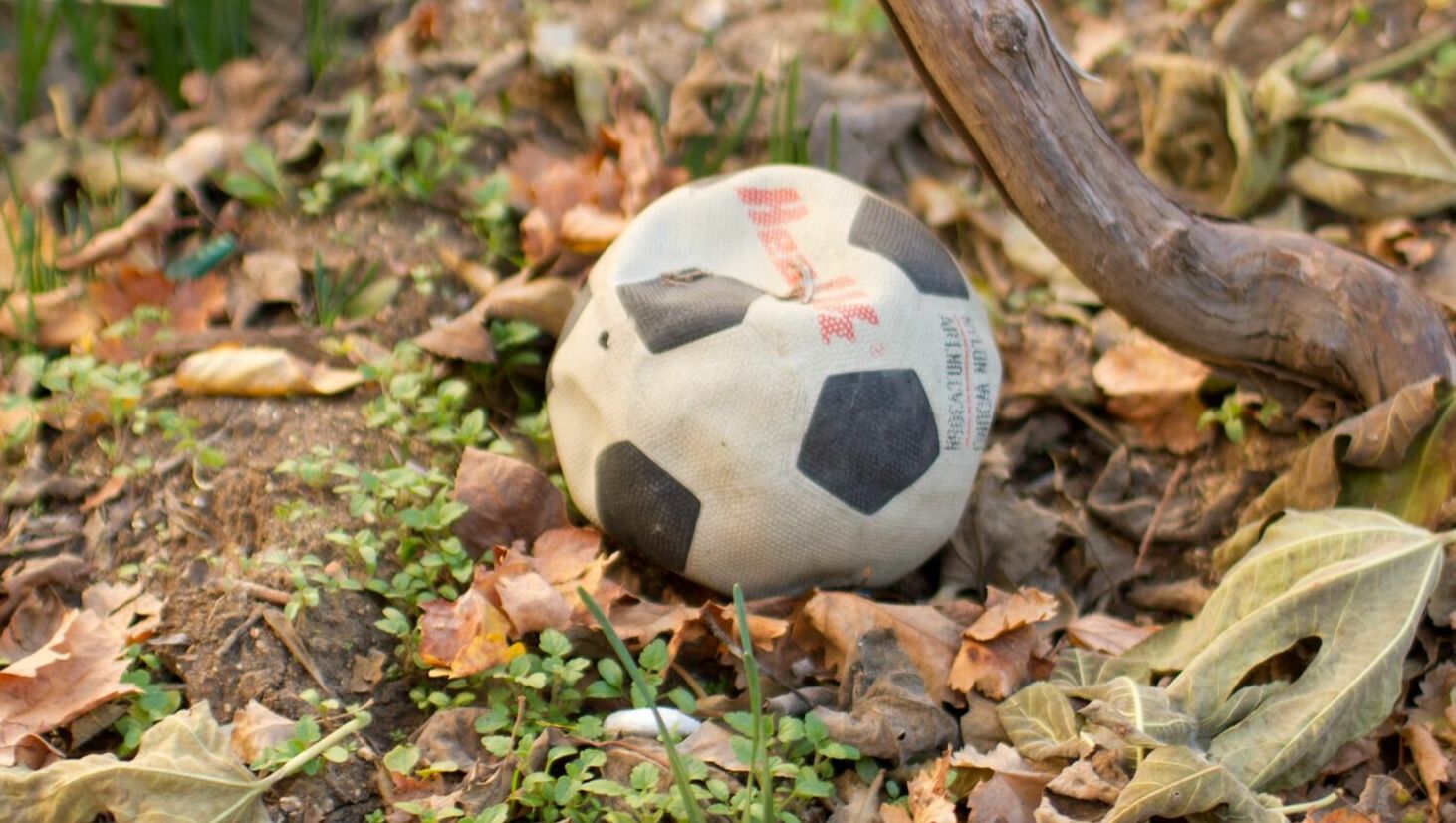 Смерть на футбольном матче: какие подводные камни таят соревнования на Ставрополье