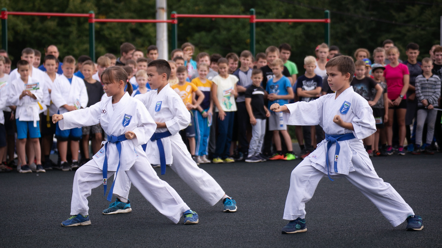 Спортивная школа единоборств в Ставрополе