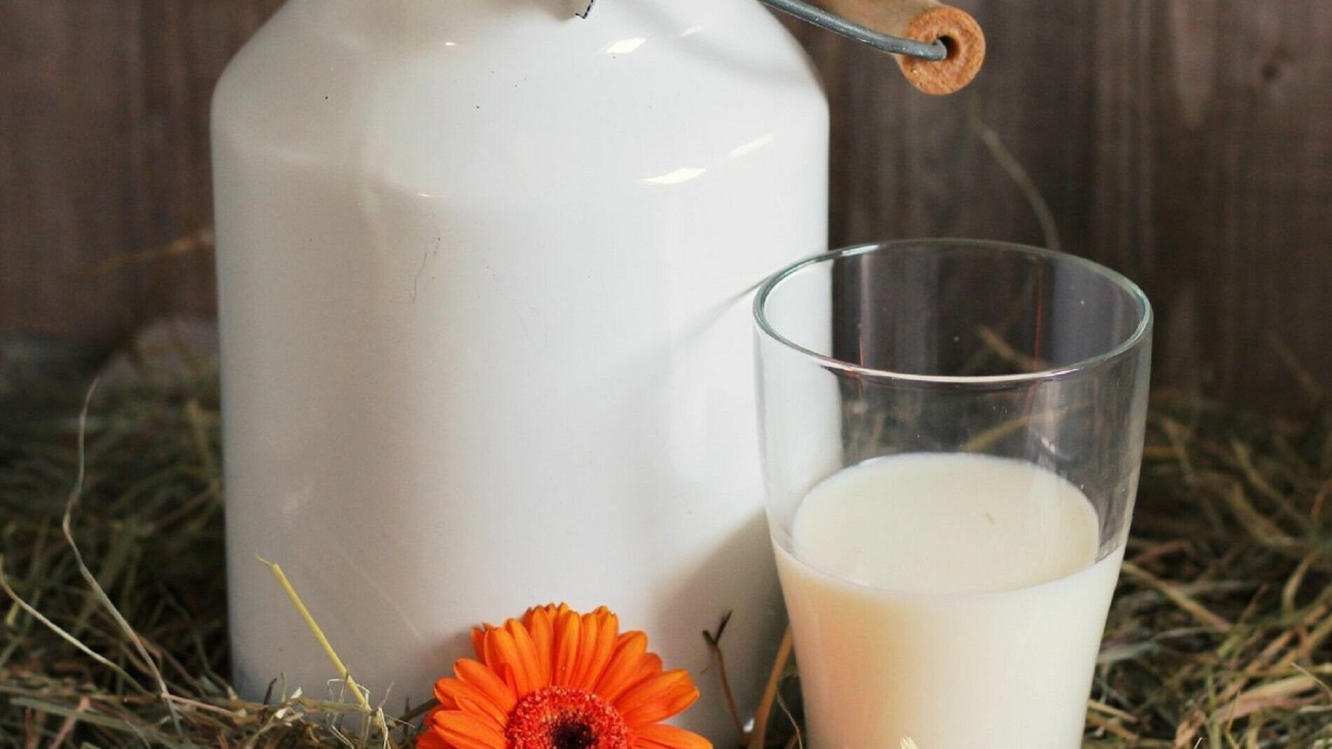 Фальсифицированное молоко из будущего поставляли в соцучреждения на Кавминводах