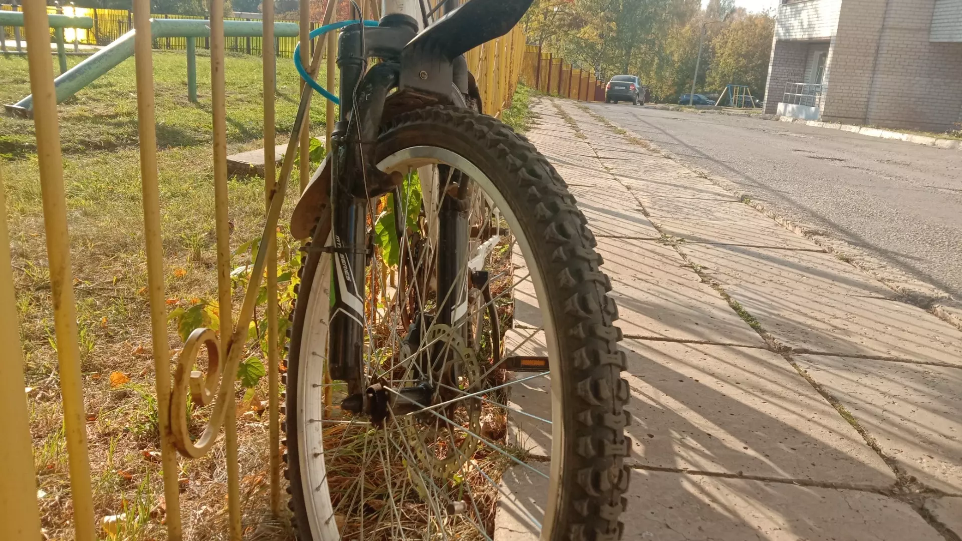Бастрыкин отреагировал на смерть ребенка, упавшего с велосипеда в Дагестане