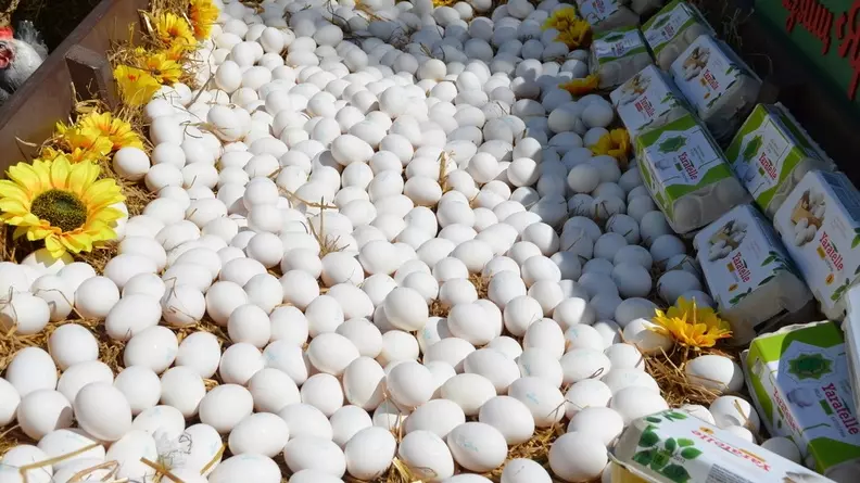 Жителям Ставрополя рассказали, где купить яйца по 90 рублей