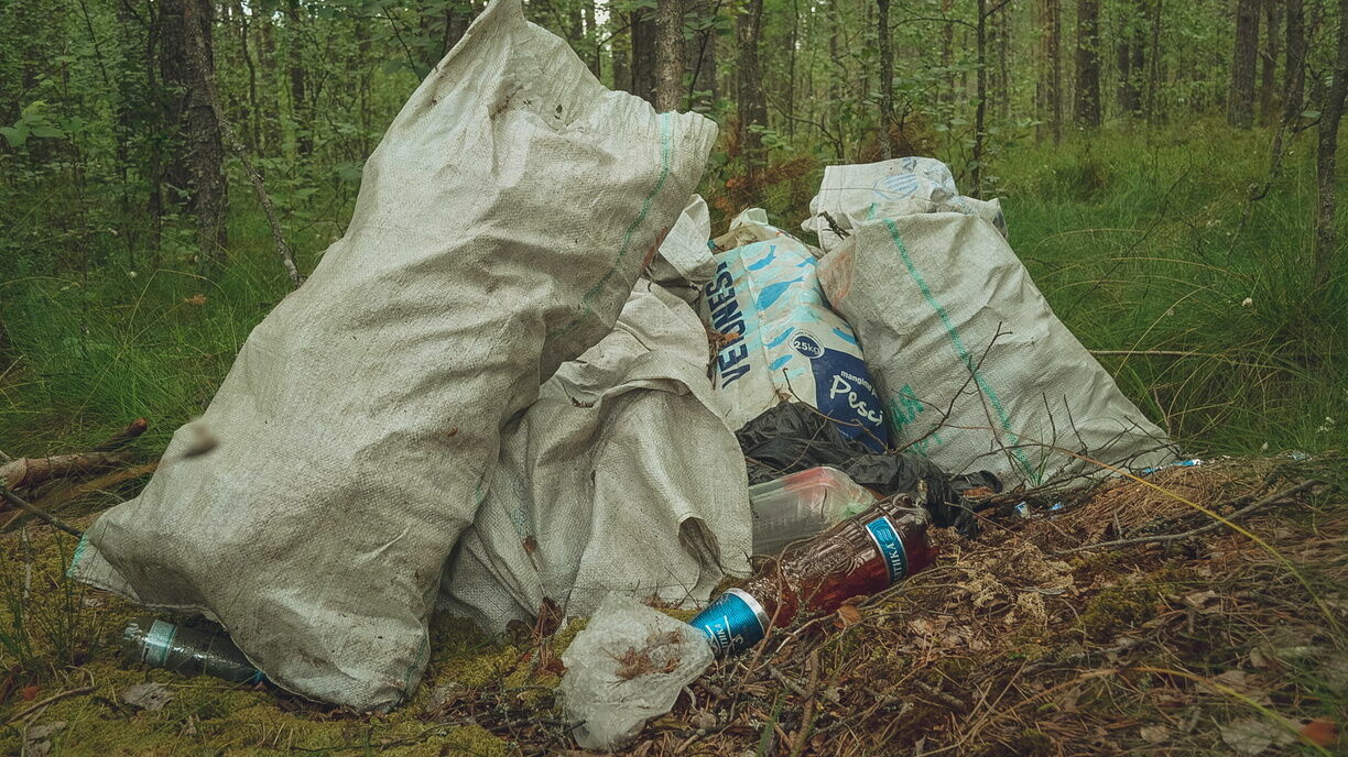 Лесничество Ставрополя обязали вывезти мусор из Члинского леса