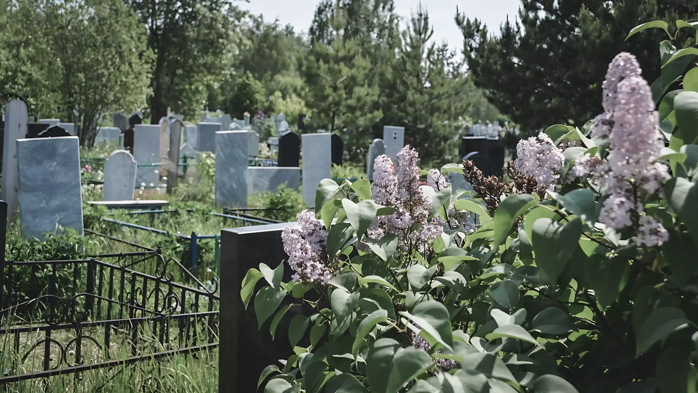 Несовершеннолетних вандалов не накажут за разгром ставропольского кладбища