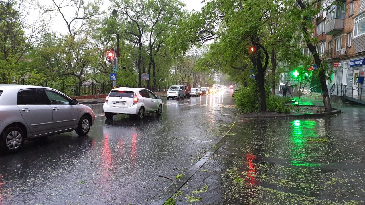 Дожди на Ставрополье будут идти до 30 июня