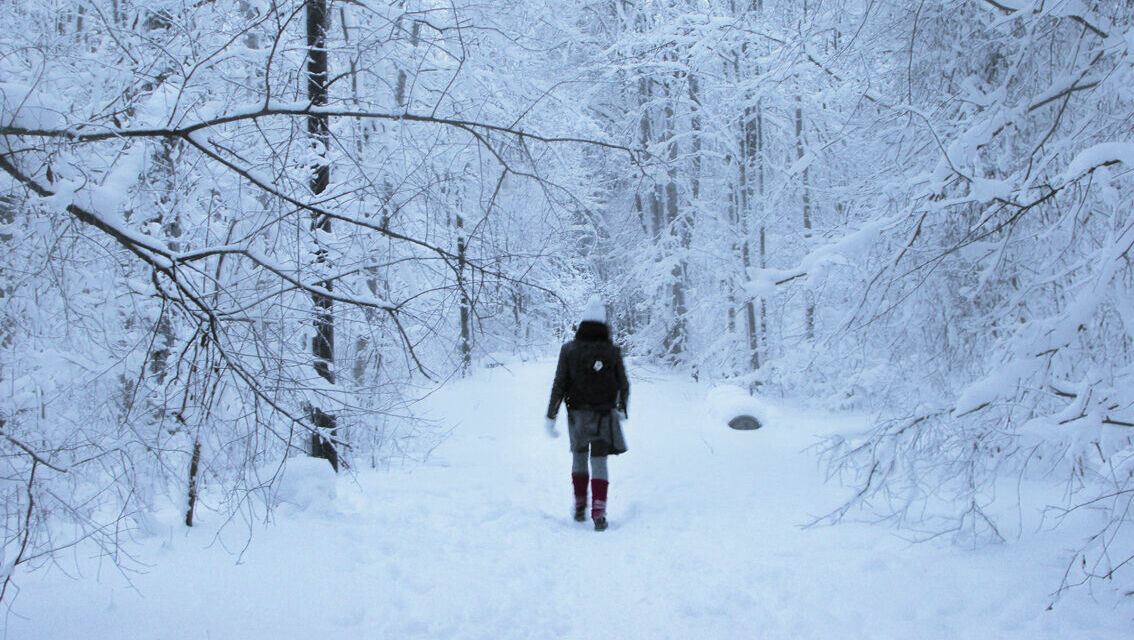 Снег и заморозки до минус 9 градусов придут на Ставрополье в выходные