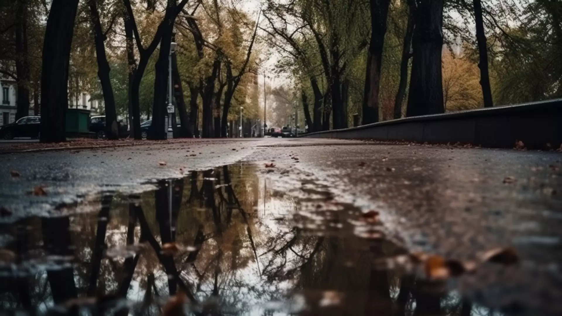 В День Победы на Ставрополье ожидается дождь и резкое похолодание