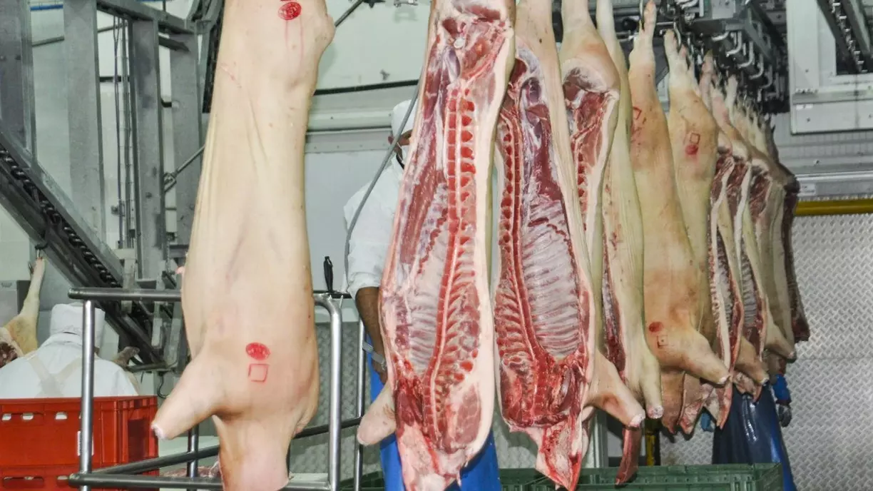 Производитель мяса незаконно сбрасывал отходы на Ставрополье