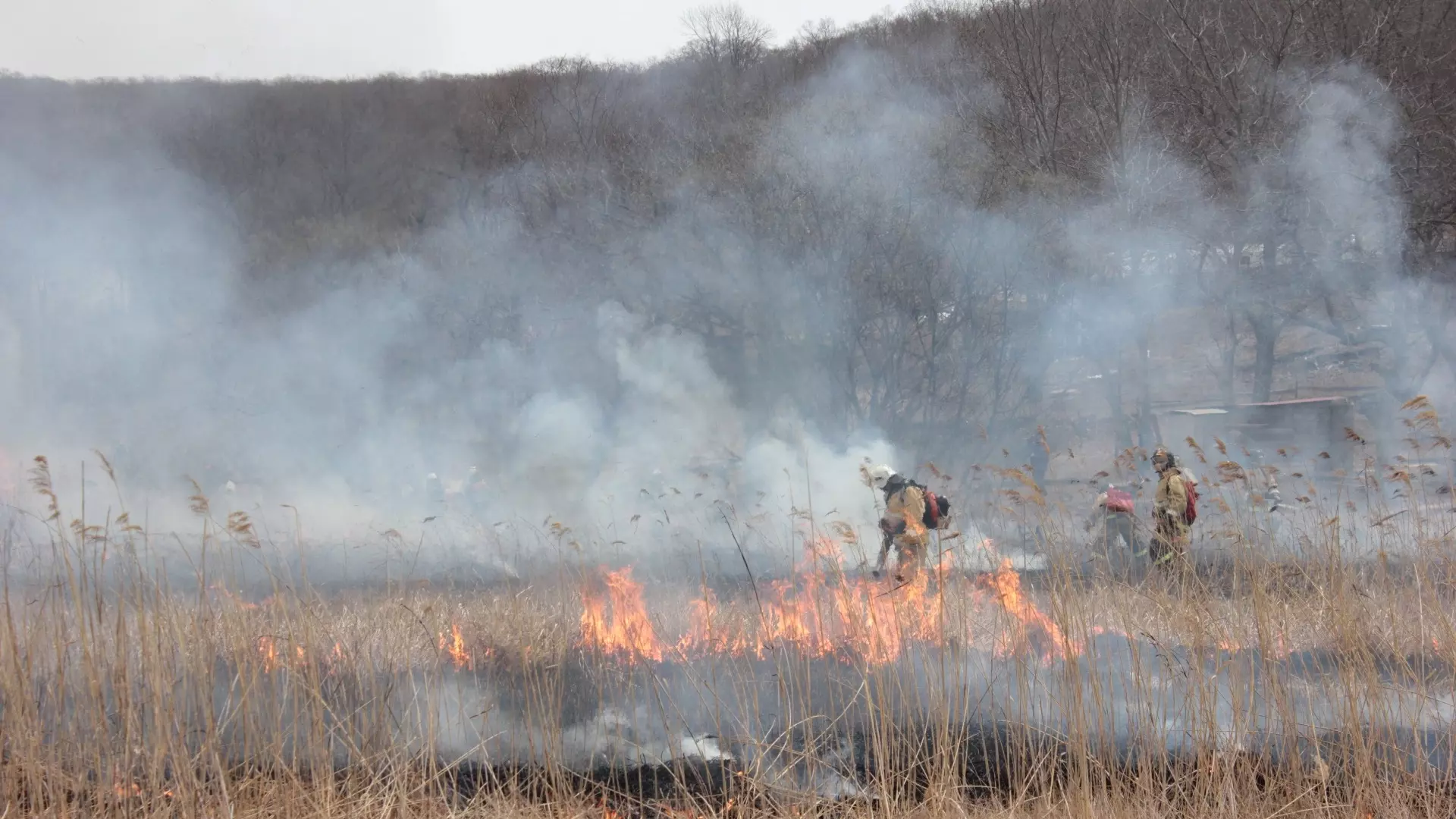 В Пятигорске потушили повторный пожар на горе Машук