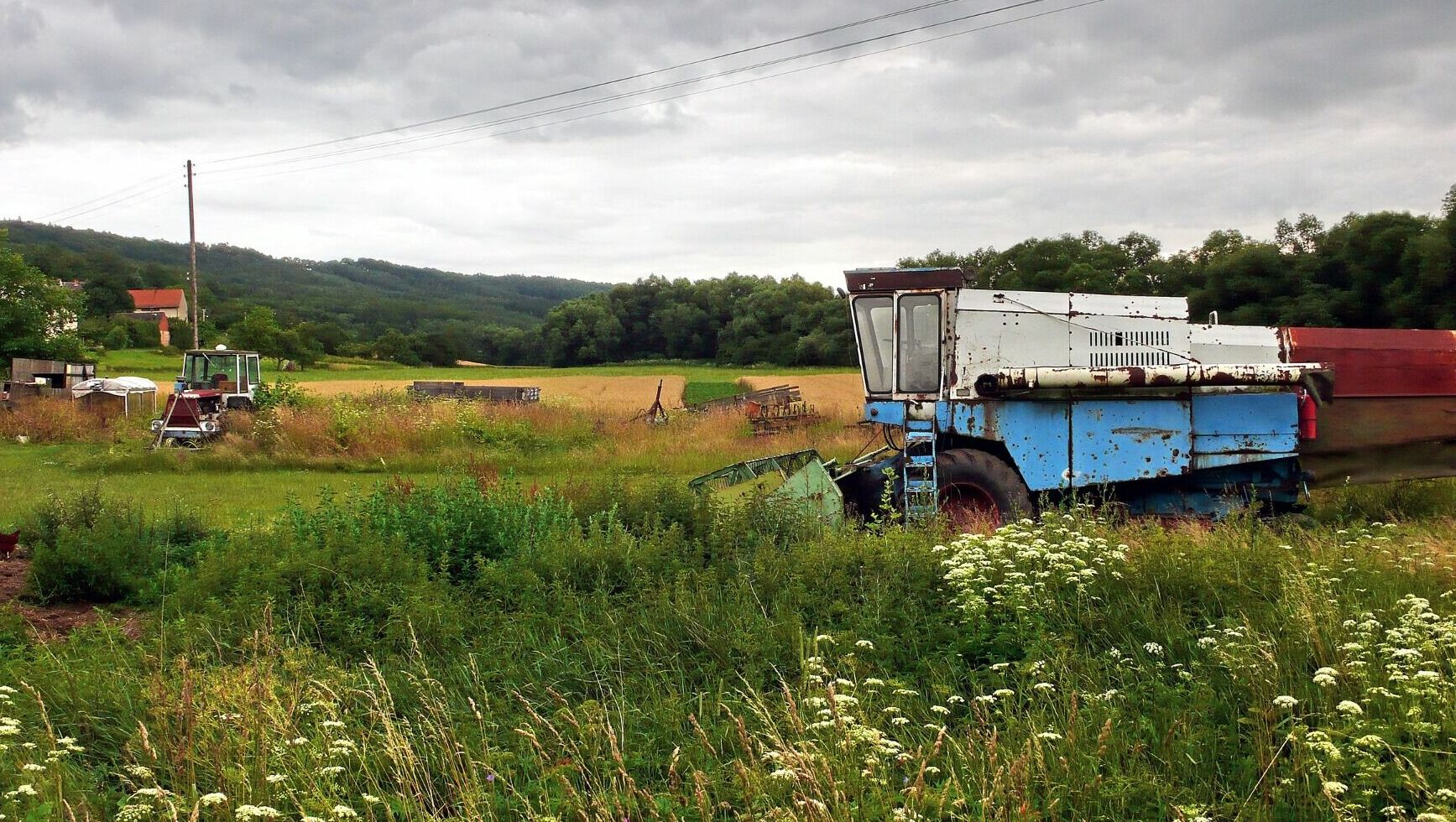 Крупное сельхозпредприятие на Ставрополье банкротится из-за долга в 673 млн рублей