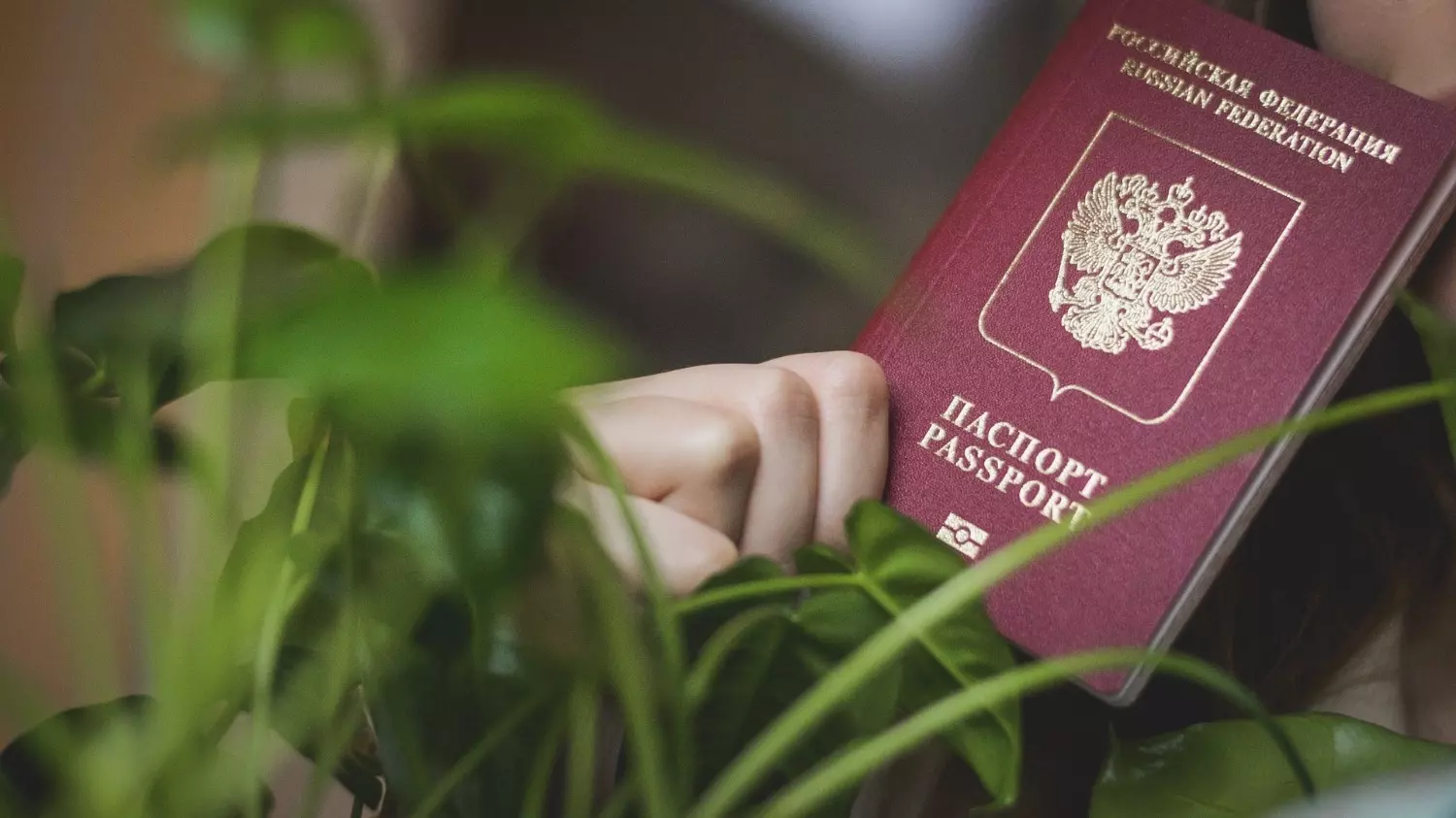 Если у юного ставропольца нет загранпаспорта, на паспортном контроле могут попросить показать печать о гражданстве.