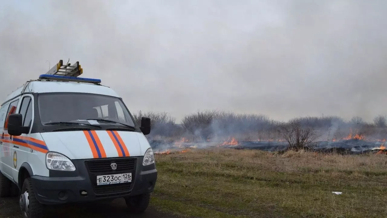 Власти Ставрополя специально выжгли около 300 гектаров территории