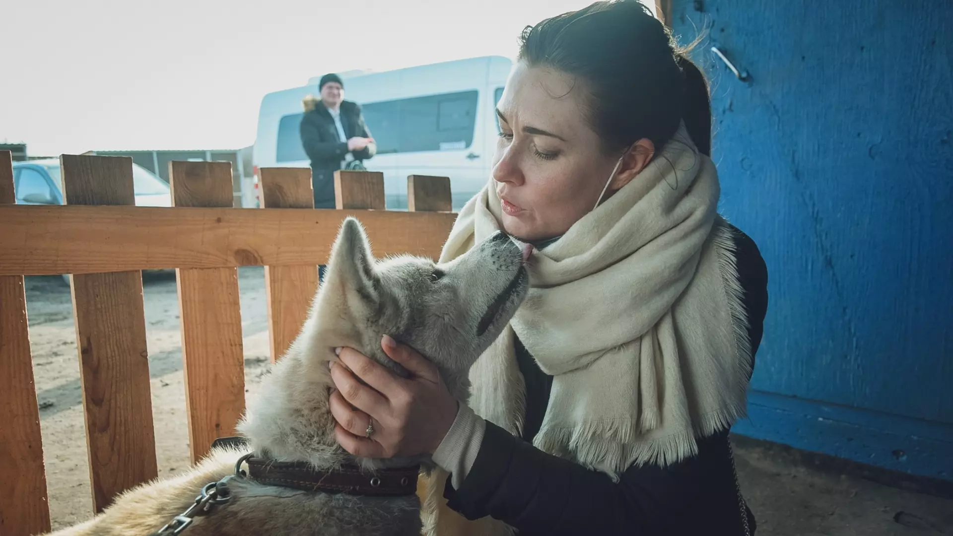 Травлю домашних собак устроили неизвестные в Ставрополе