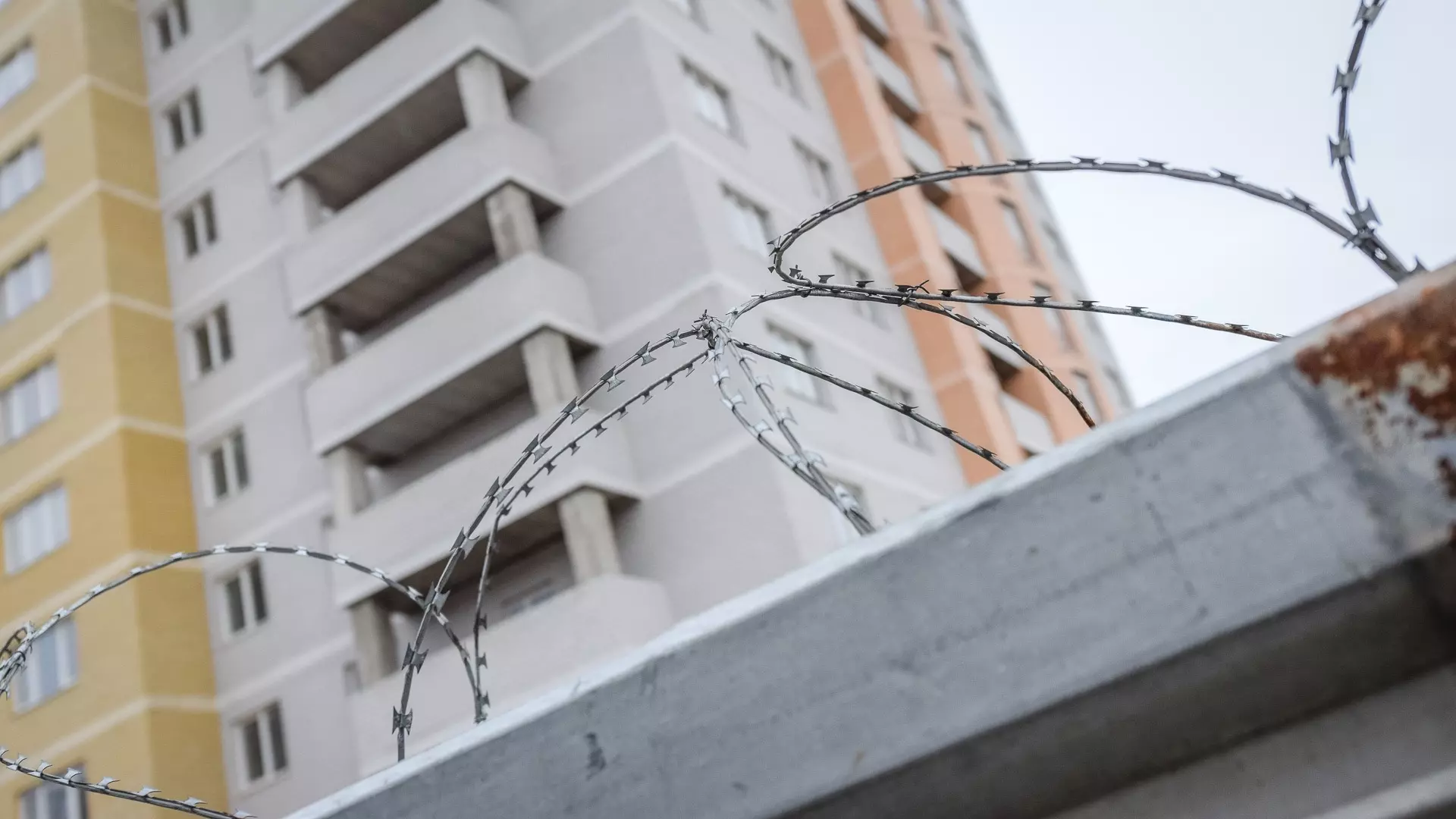 Рост цен на недвижимость и задержание вора в законе: что произошло на Ставрополье
