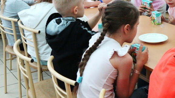 Власти Нальчика задолжали предпринимателям почти 1 млн рублей за школьное питание