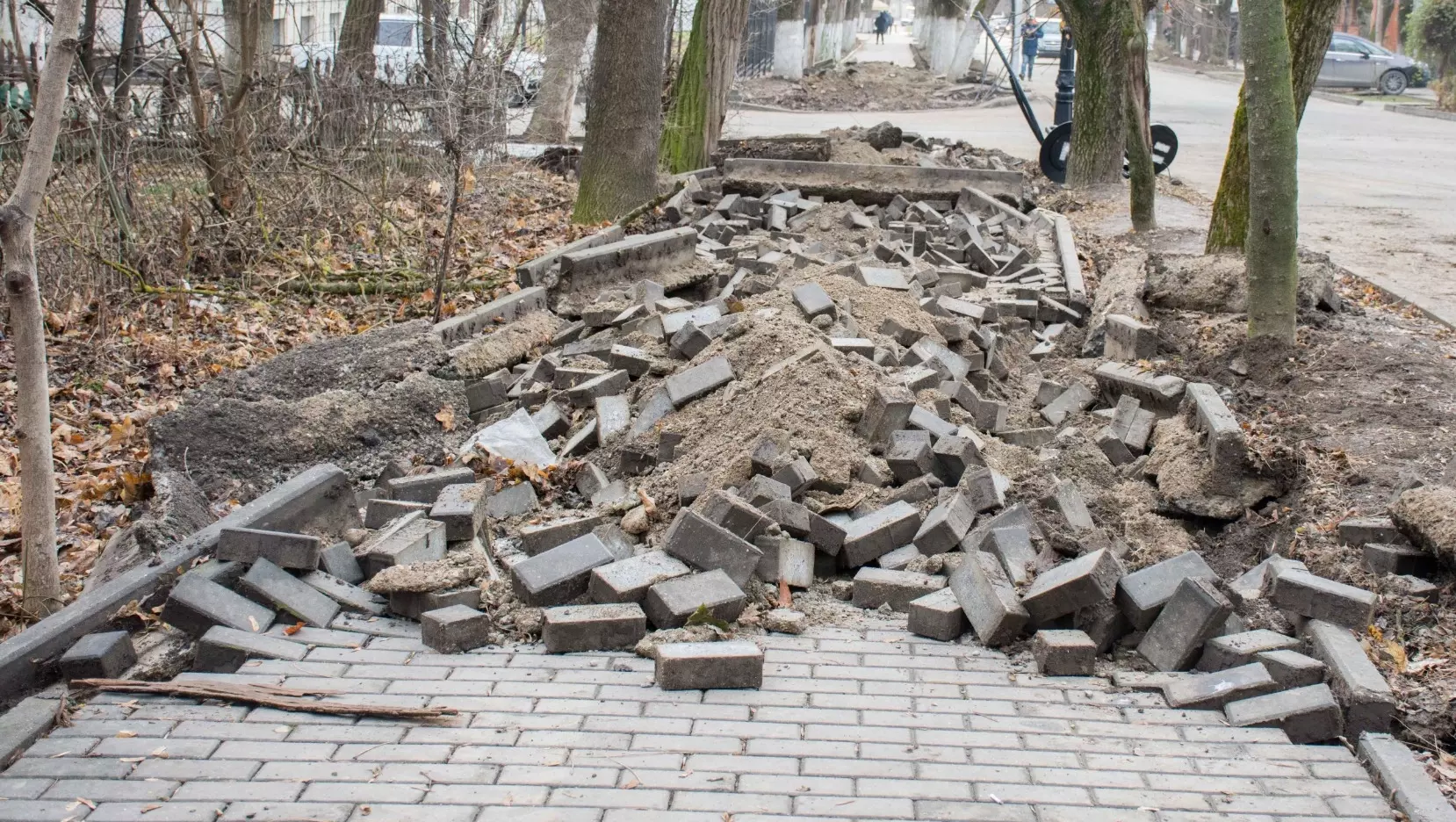 Школьники устроили погром в парке на Ставрополье из-за плохого настроения