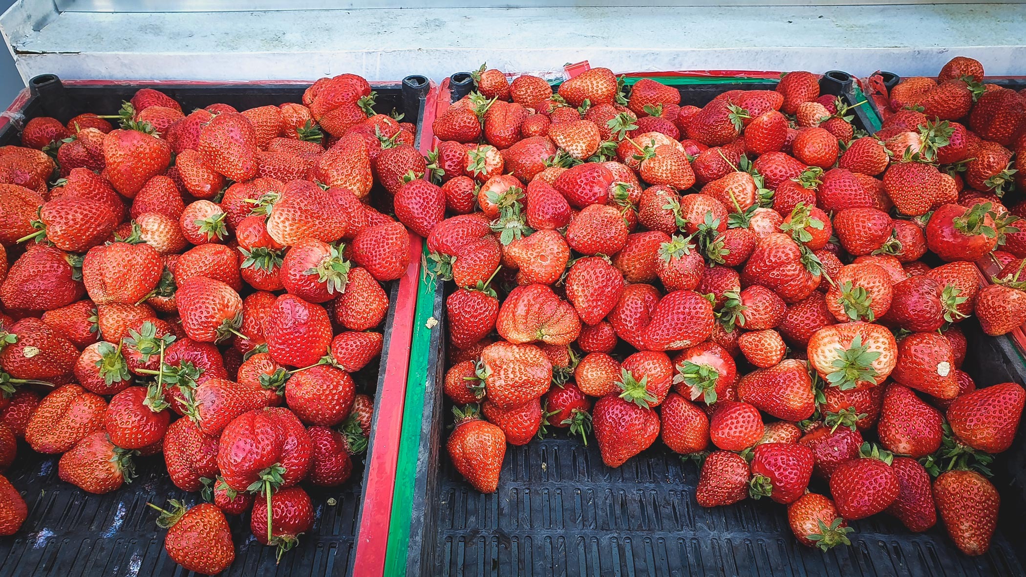 Фрукты и ягоды местного производства на Ставрополье закроют только четверть спроса