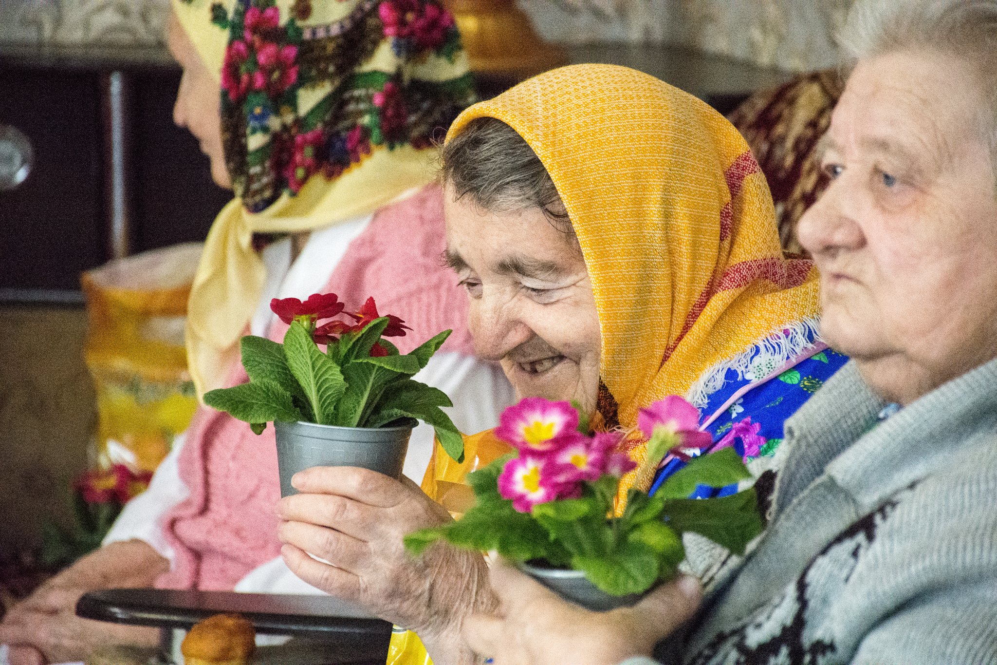 Продолжительность жизни в домах престарелых на Ставрополье оказалась выше