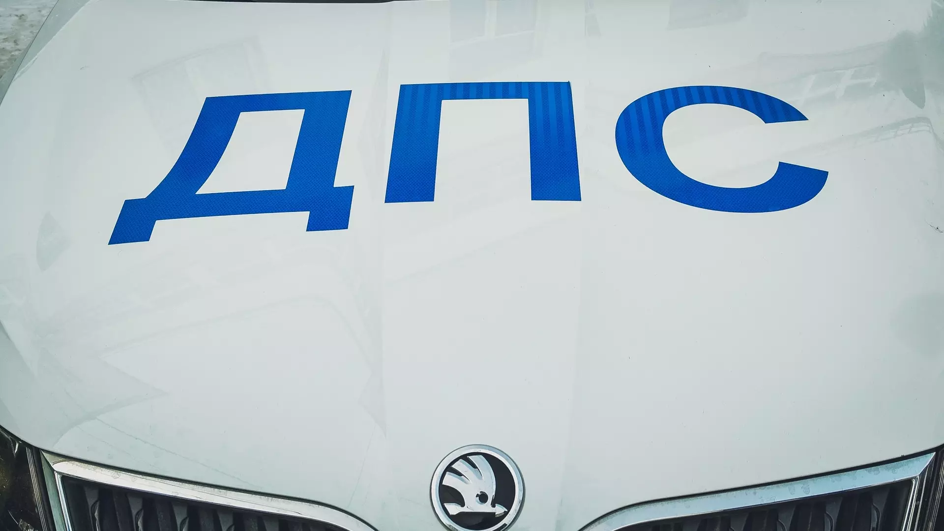 Стали известны подробности избиения пьяным водителем полицейских на Ставрополье